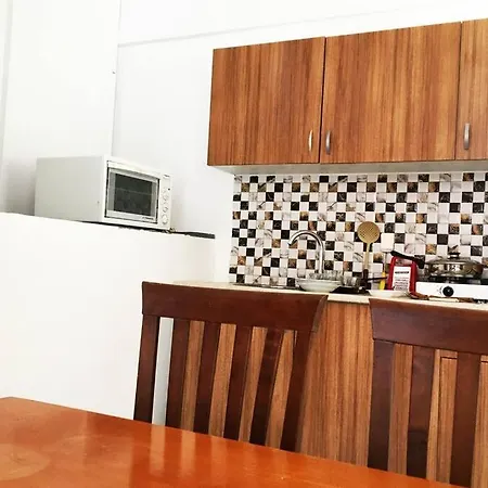 Apartament Downtown Fully Furnished Flat